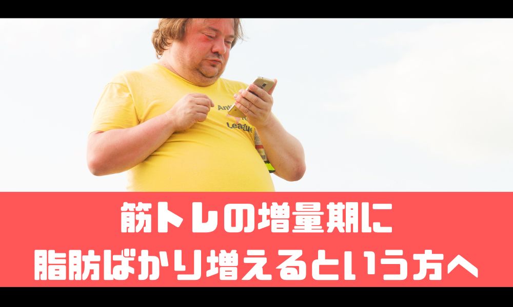 増量期に筋肉ではなく脂肪ばかり増える…【筋肥大とのバランスをとる方法】