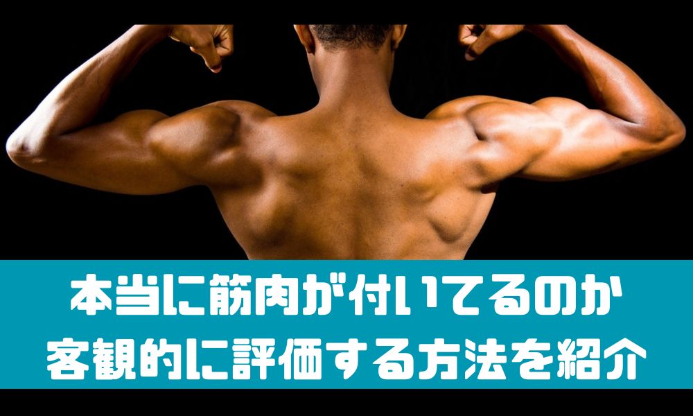 筋肉がついたかわからない？【筋肉量を測定する方法を紹介】